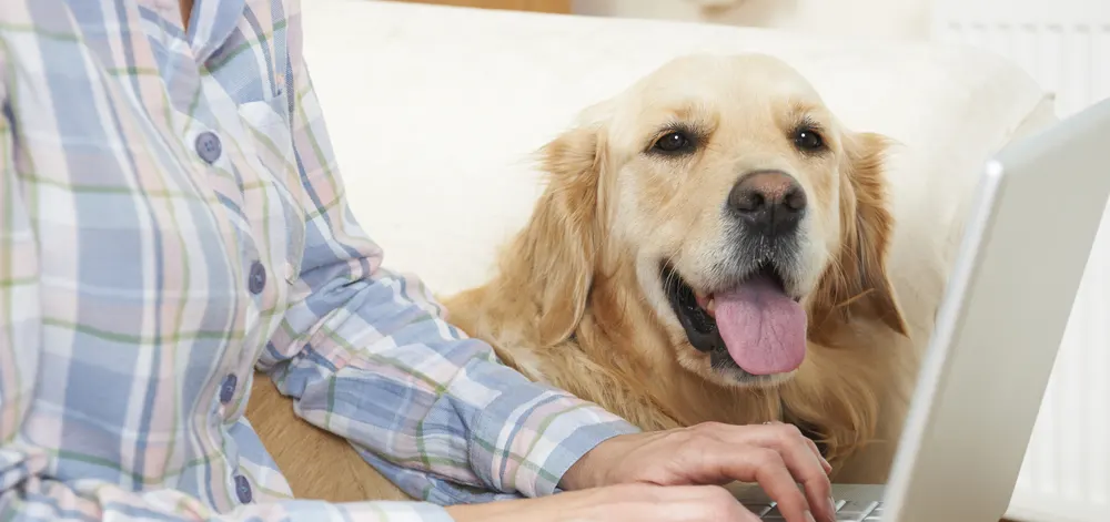 Why Pet Insurance in 2025 Is a Smart Decision